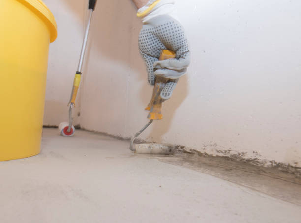 Best Pest Exclusion Services  in Blauvelt, NY